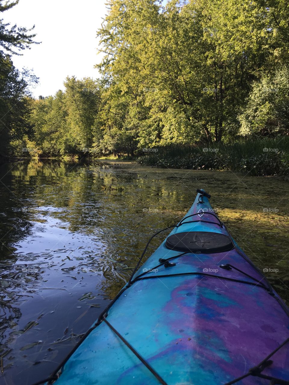Kayak on a river