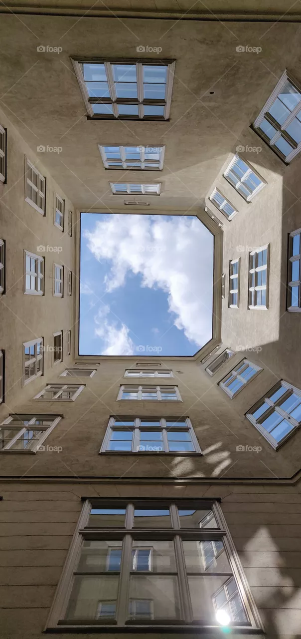 Perspective