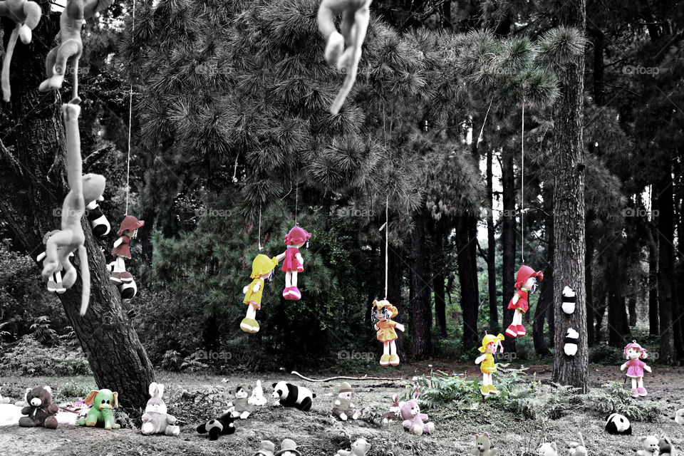 Dolls wandering in the forest