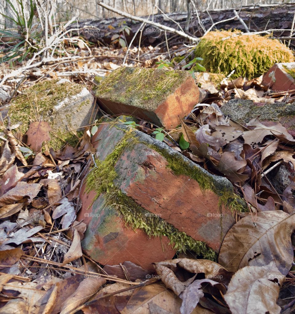 Crumbling ruins of brick wall in woods 