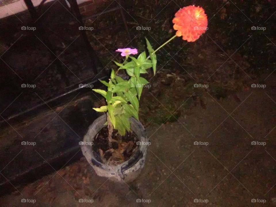 Just the two of us! 🌃