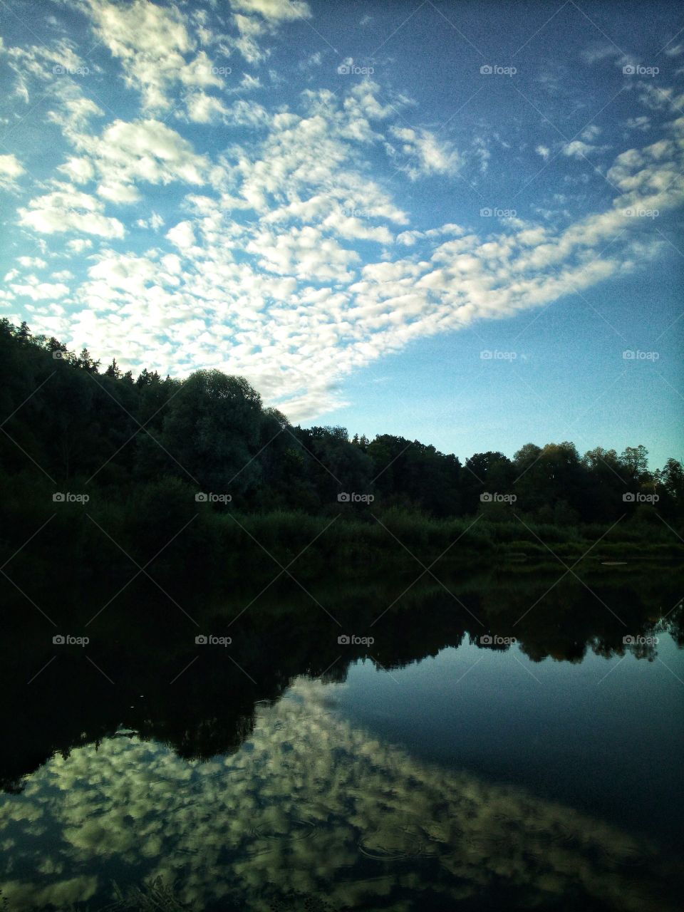 Rest is not idleness, and to lie sometimes on the grass under trees on a summer's day, listening to the murmur of the water, or watching the clouds float across the sky, is by no means a waste of time.
~John Lubbock, The Use Of Life