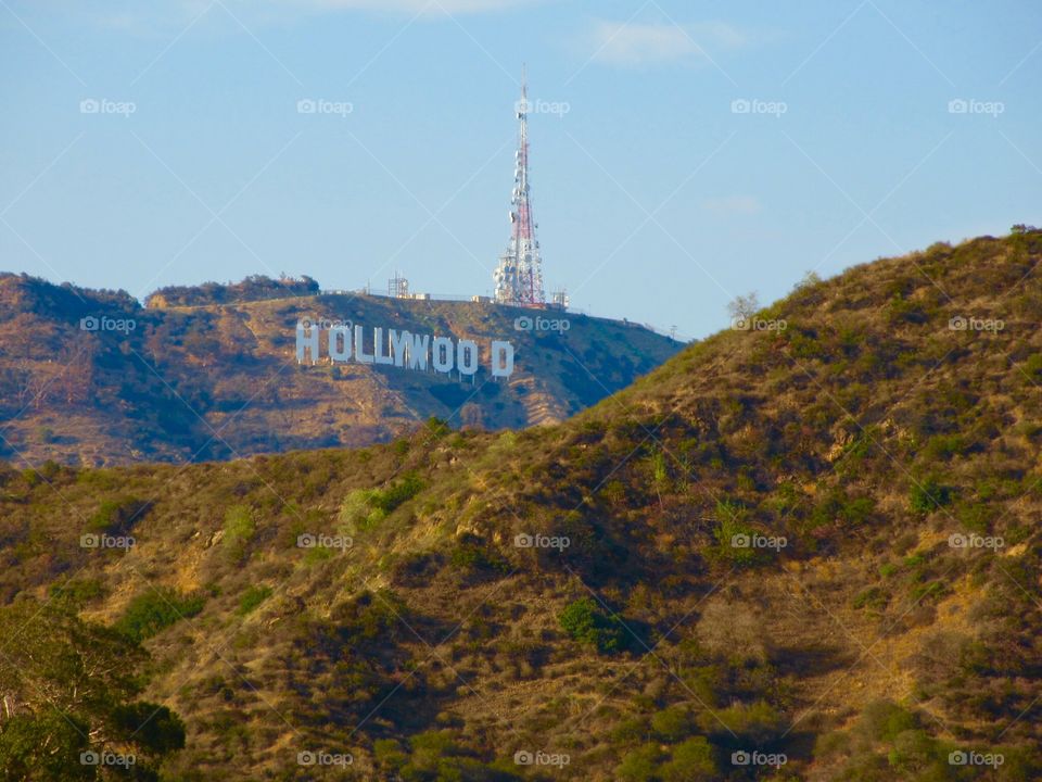 Hollywood Sign hillside 