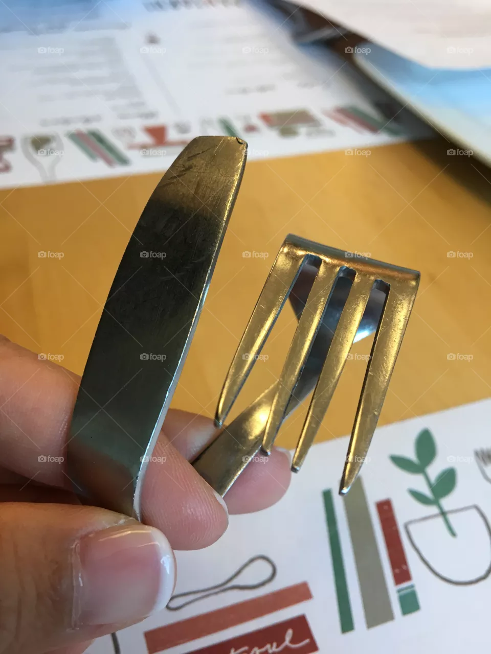 Fork