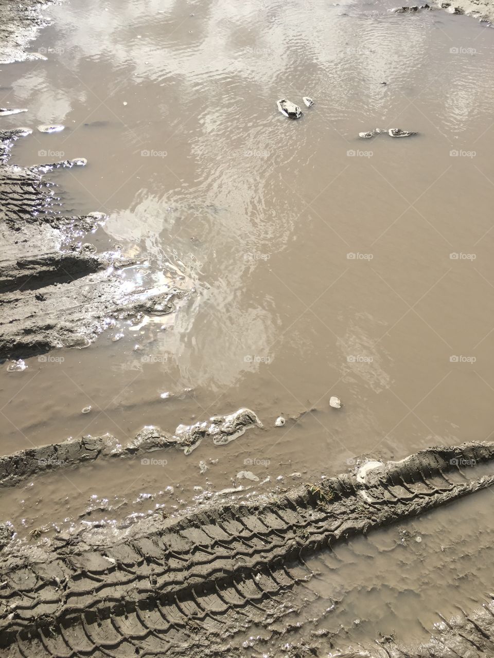 Tire tracks in a mud puddle.