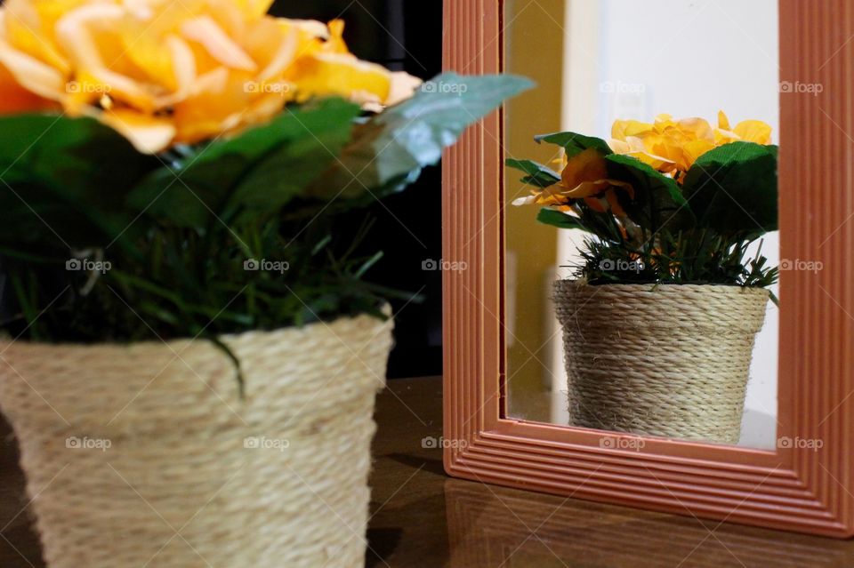 Reflection of the flower pot in the mirror