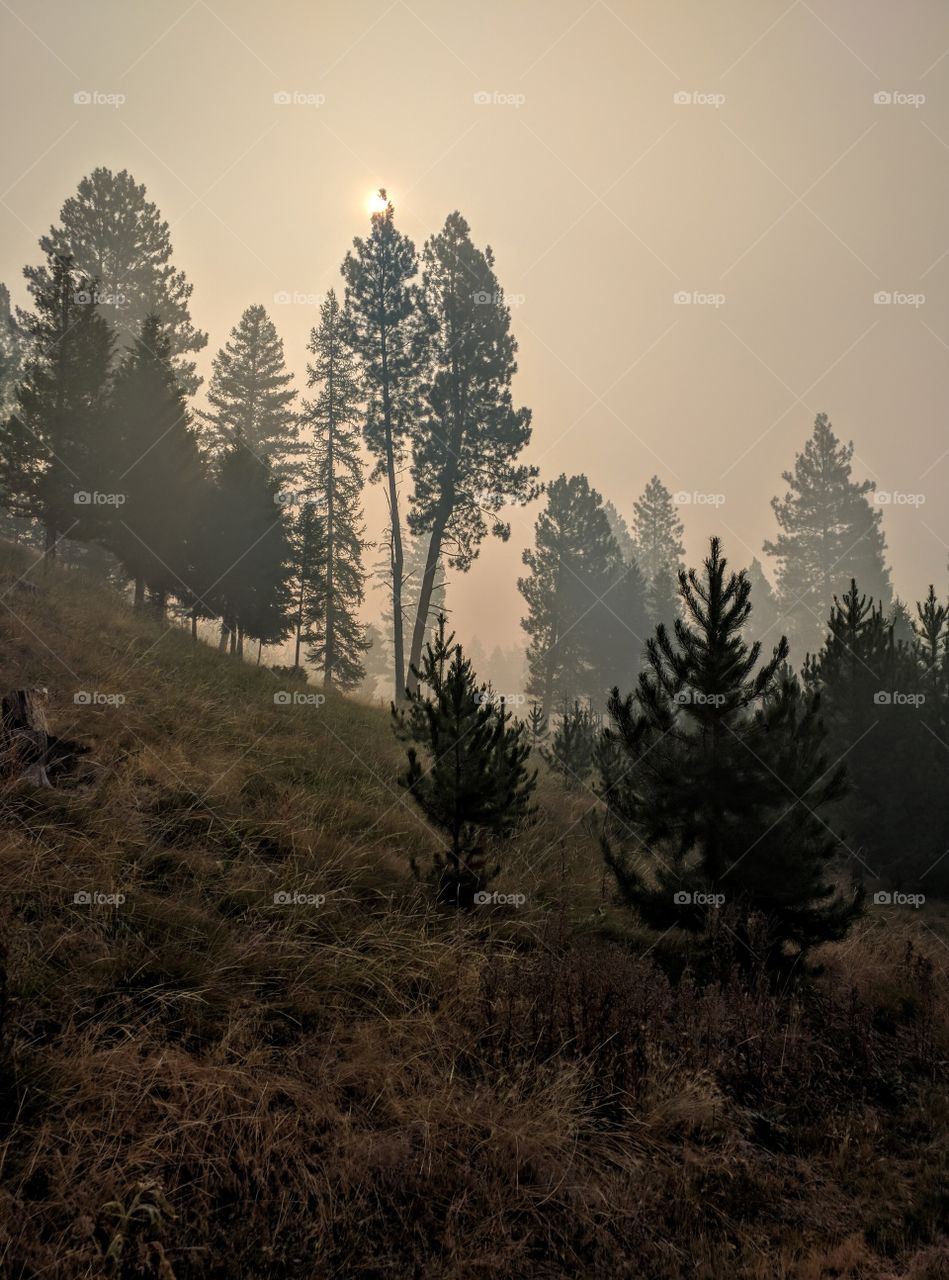 Smoke filled morning sky courtesy of Rice Ridge Fire August 2017