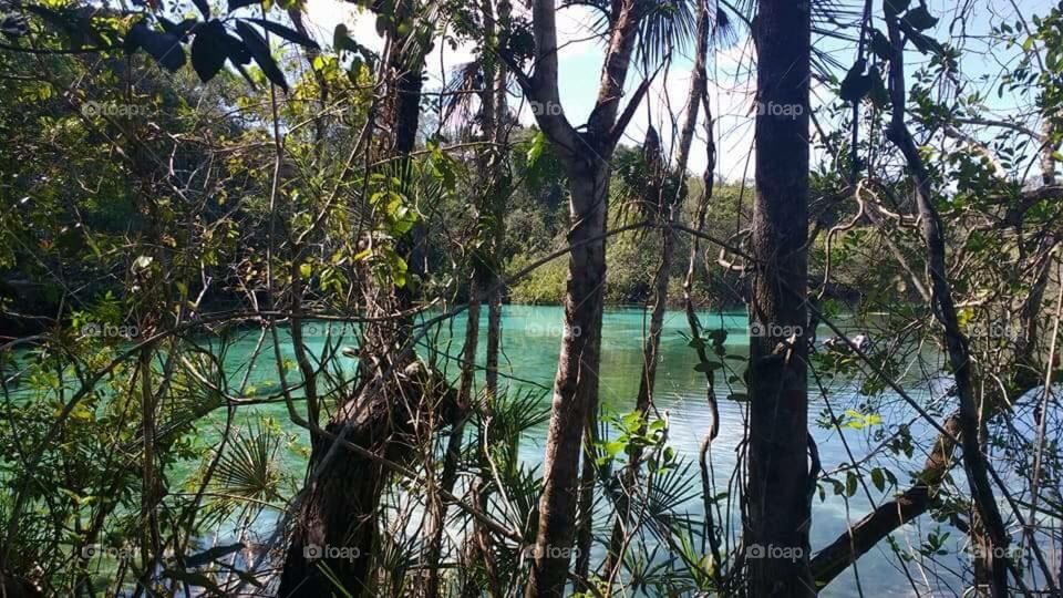 Blue lagoon in Primavera do Leste

The Caribbean of Mato Grosso do Sul - Brazil