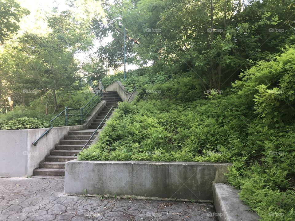 Grassy Stairs
