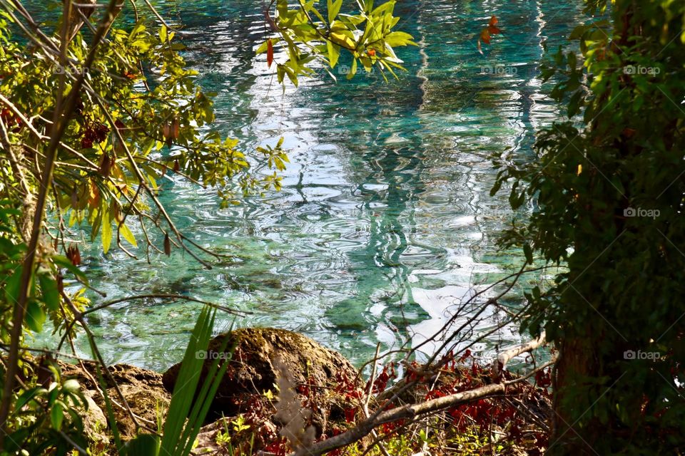 Turquoise Reflection