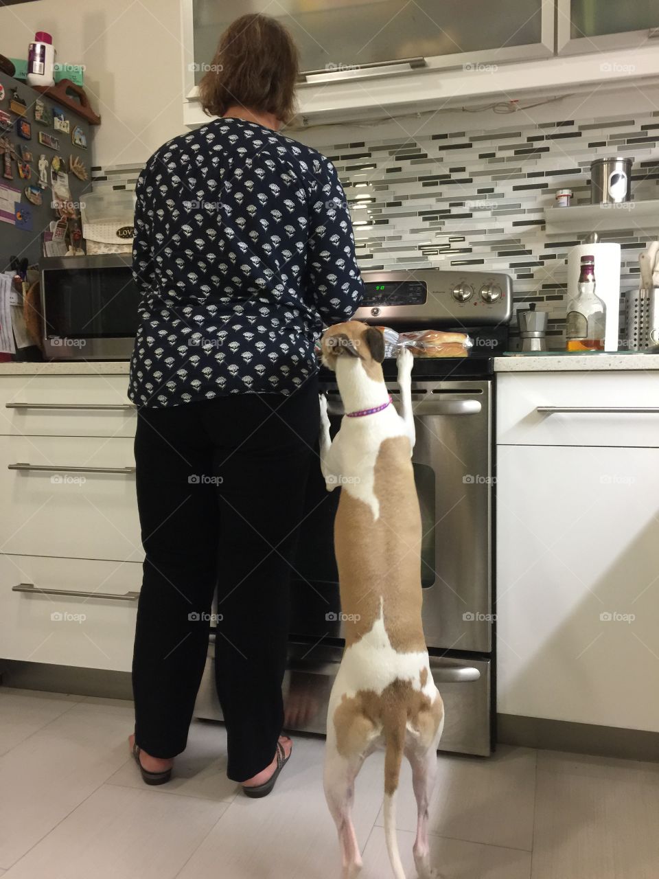 Mature woman standing in front of the stove in the kitchen with dog besides her.