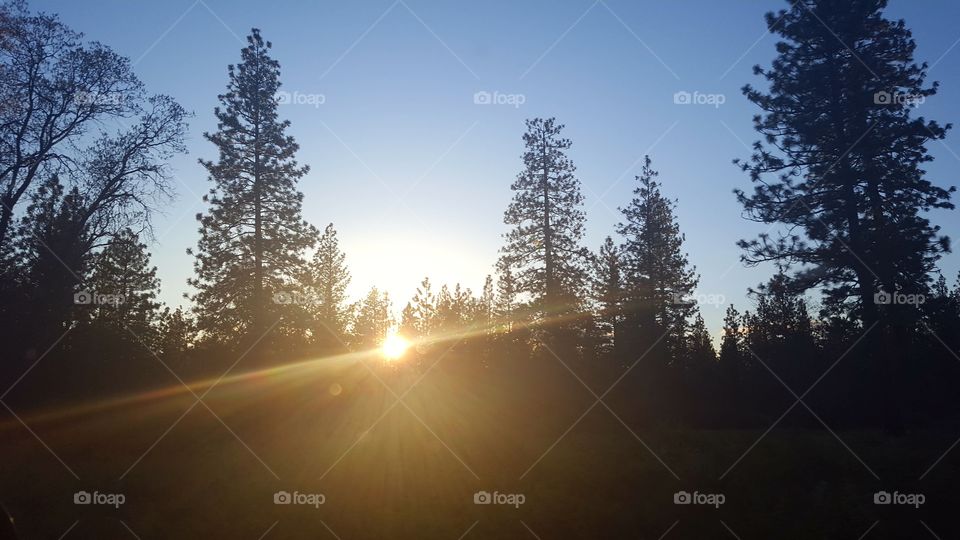 Taken as the sun was setting. On our drive home on HWY 299 in California. My husband drives I take pictures.