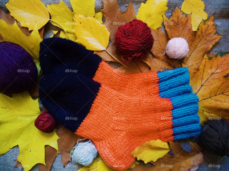 knitted warm socks and autumn leaves