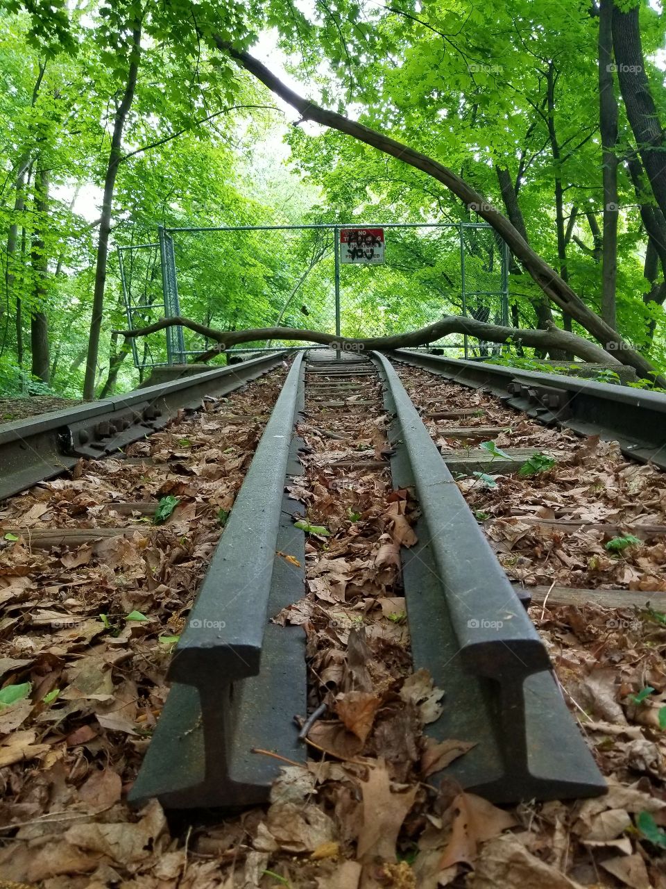 Old train rail
