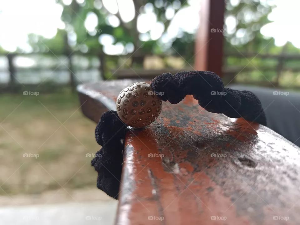 Hair Band