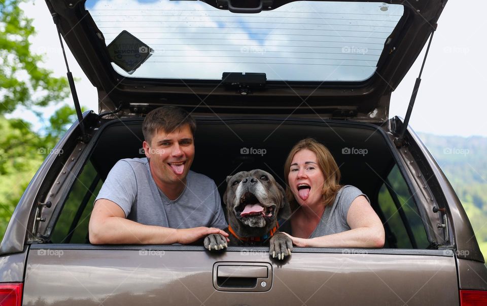 beautiful family, husband and wife and their dog, cheerful and happy, the guys are sitting in the trunk of the car, cool emotions and happy time together.  The kids travel around Europe