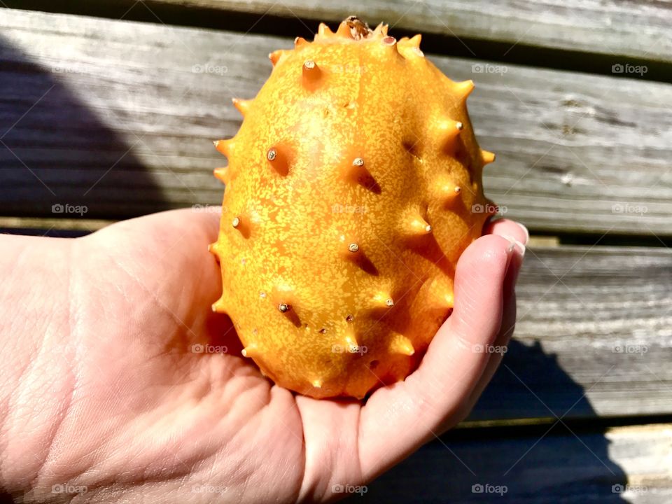 High angle view of kawani fruit