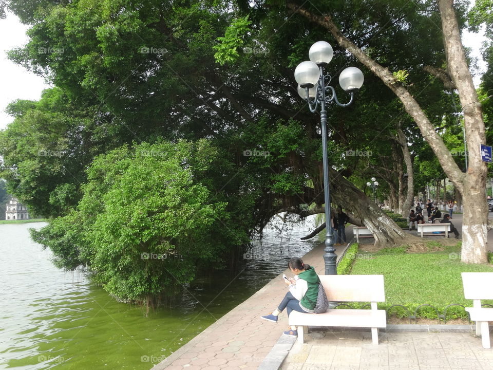 park near the lake in center Hanoi
