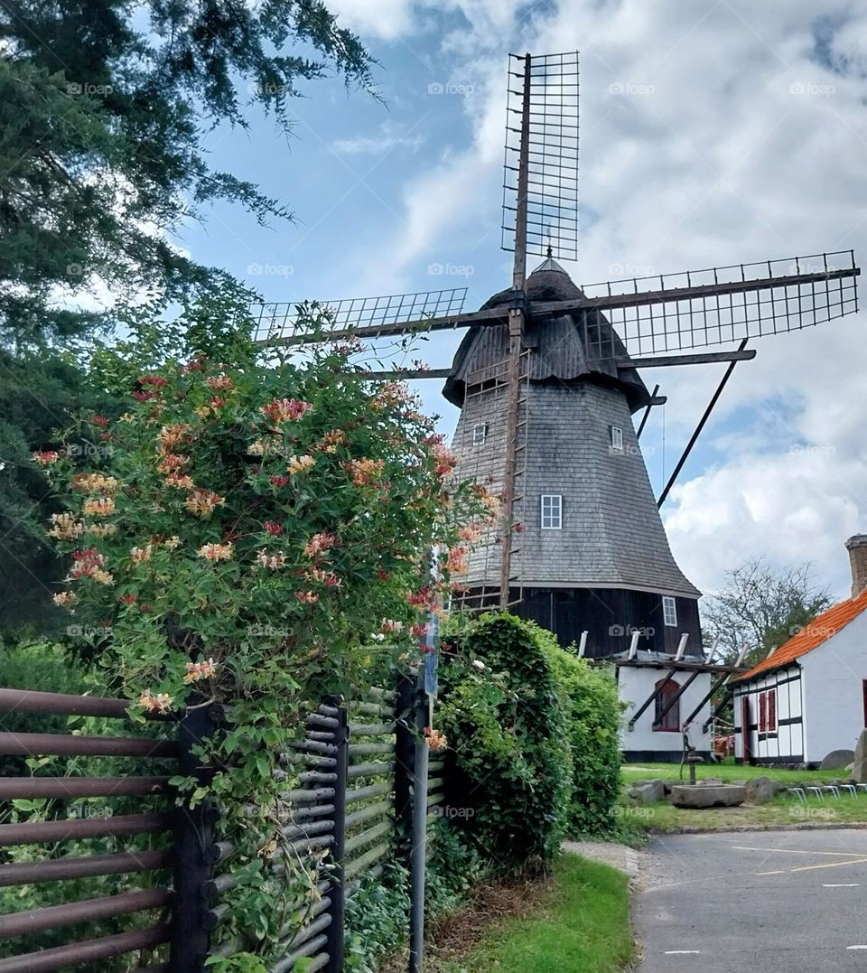 windmill