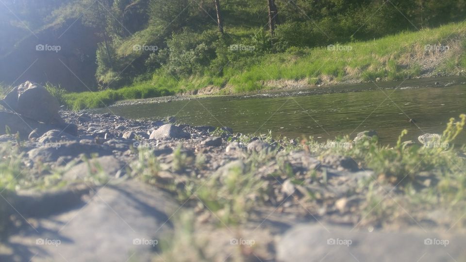 A peaceful creek!!!!$