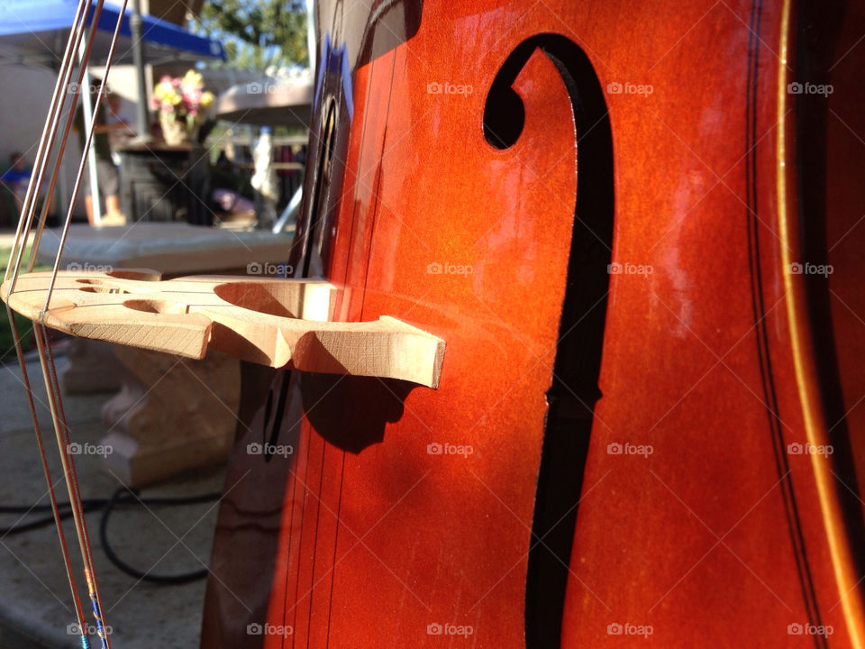 wood music depth of field cello by topher116