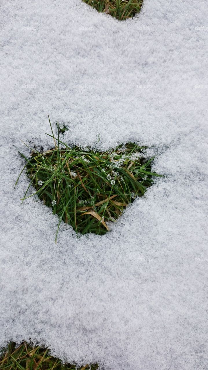 heart in snow