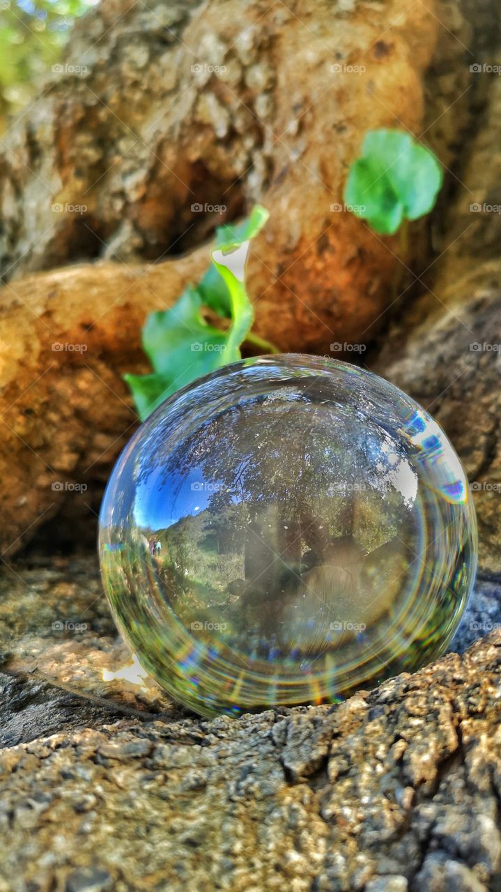 LensBall  relaxing in nature
