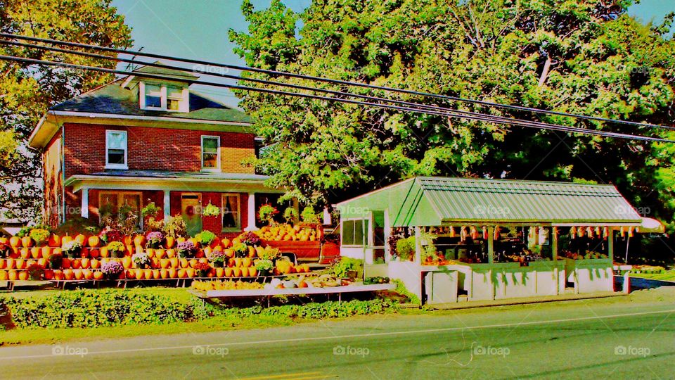 Roadside pumpkin stand 