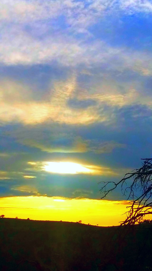 Nature's wonder