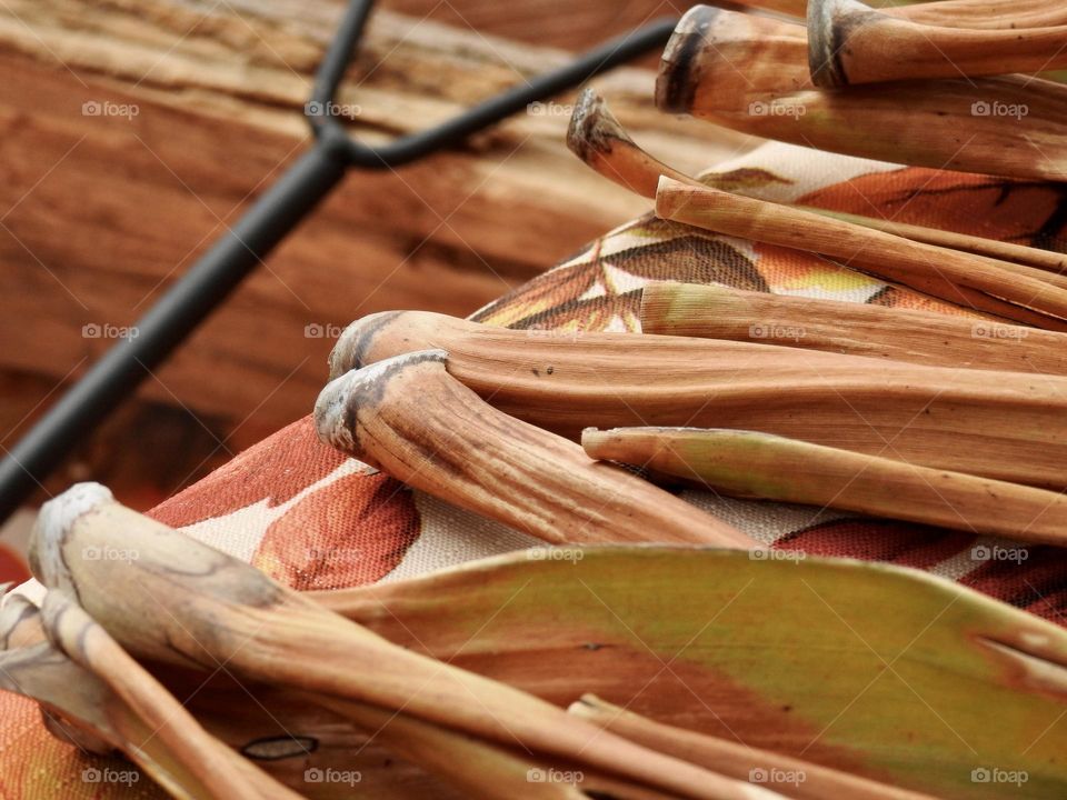 Autumn fall enjoying camping in a tent with a orange leave cloth and color changed palm leaves sitting on an edge with stick to prepare bonfire and the logs for the fire pit macro close-up.