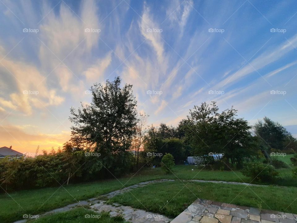 sunrise  with yellow and white feathery clouds