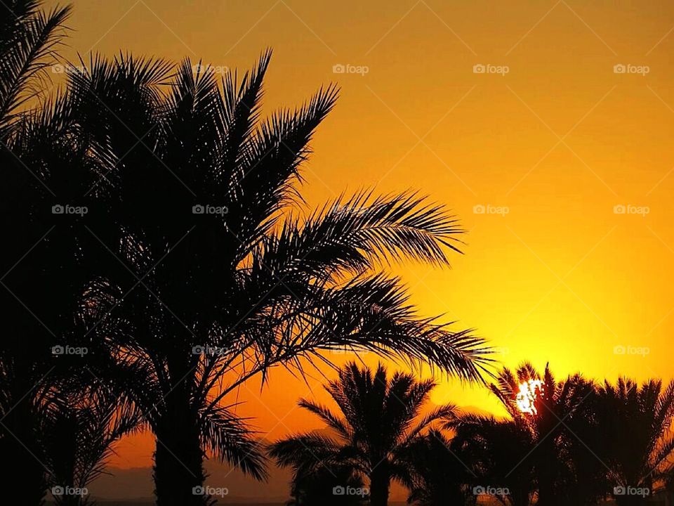sunset in Hurghada 