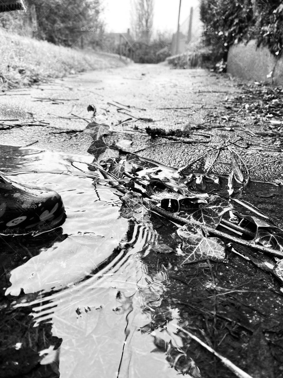 Who doesn’t enjoy a splash in the puddles! 💦