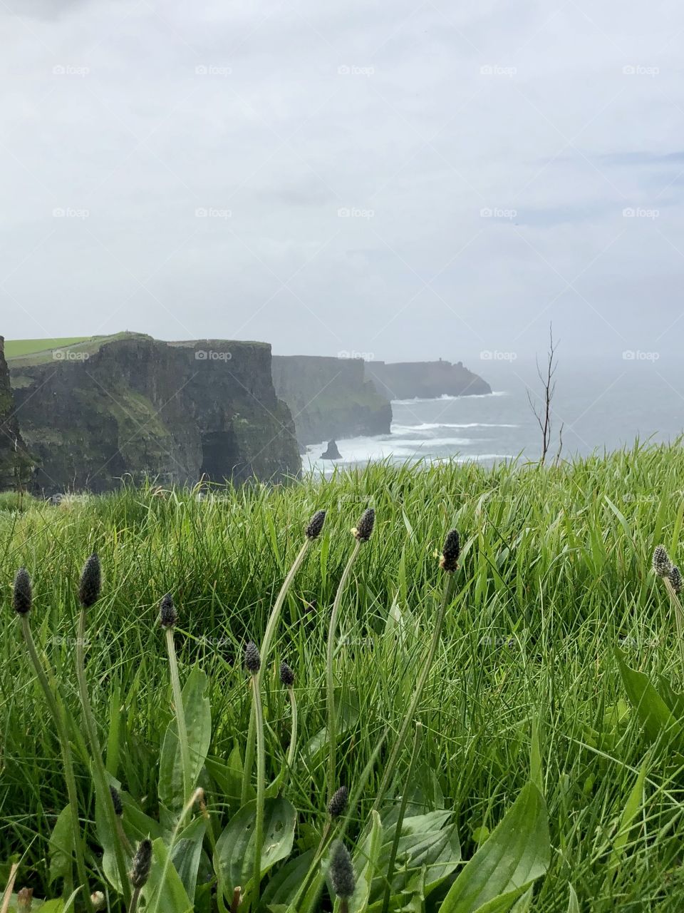 Cliffs of Moher, ireland