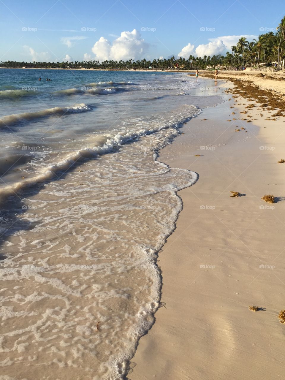 Waves on the beach 