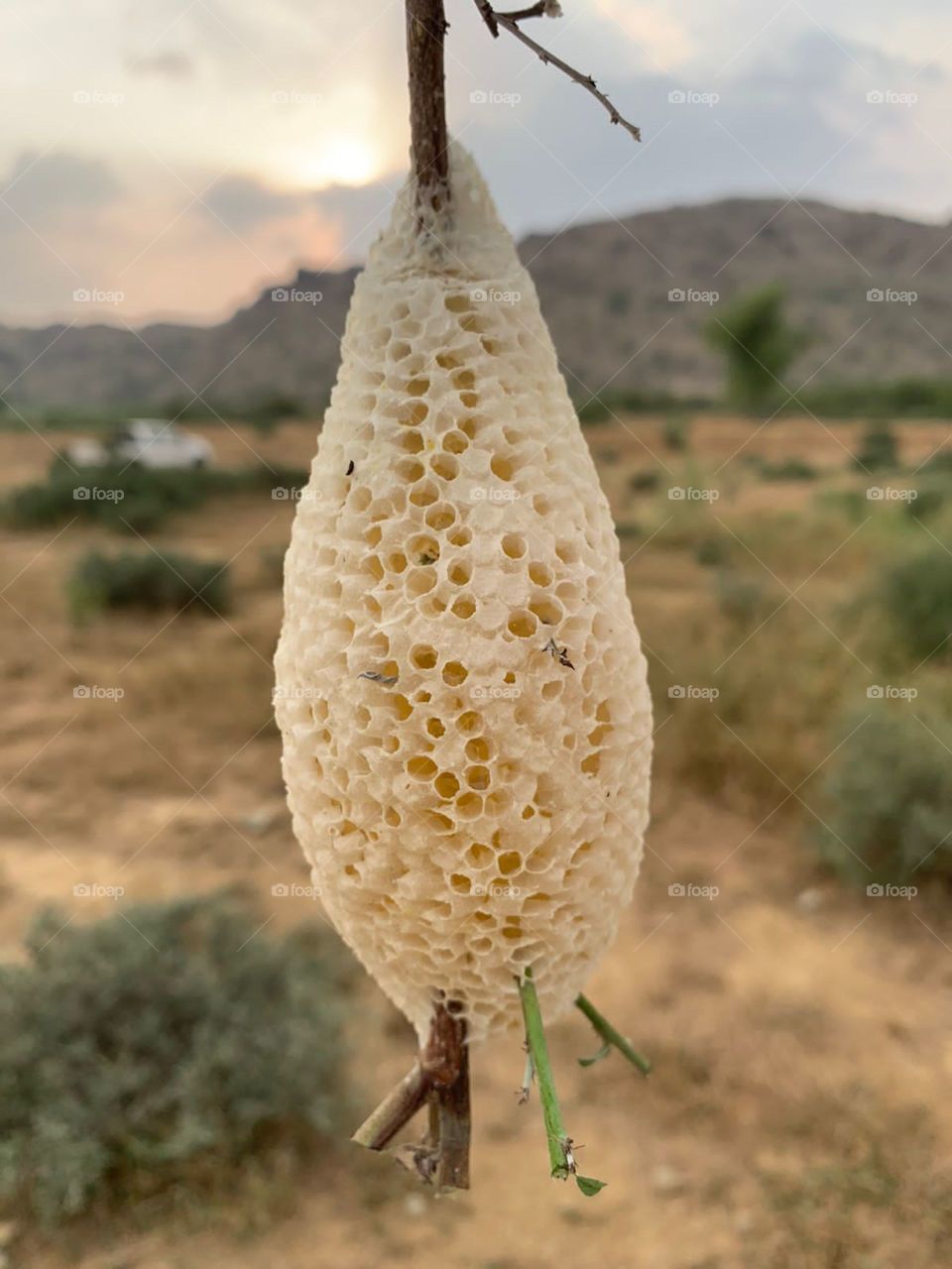 am poor. I want your support. Stop it