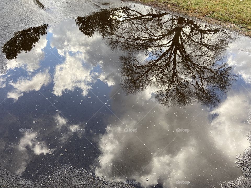 Trees and clouds reflected
