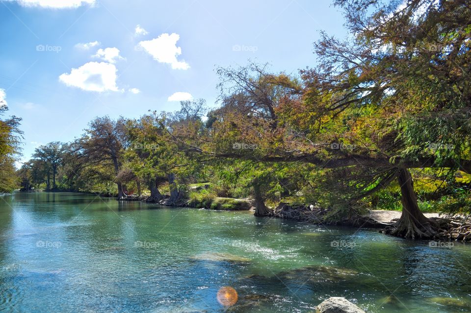 Guadelupe River state park! Texas