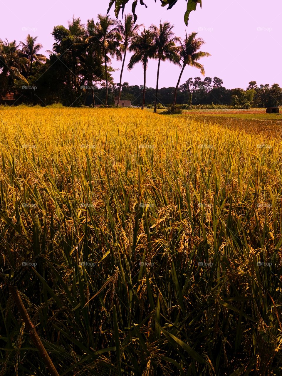 Editors'Choice: Photo Of The Week