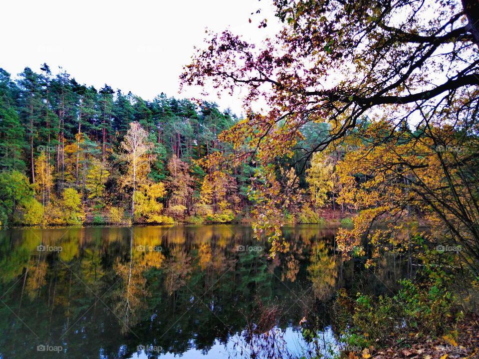Autumn lake