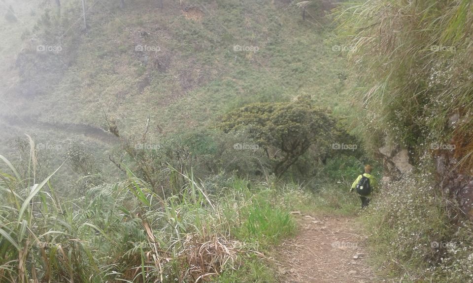 foggy trail to mount tangbaw