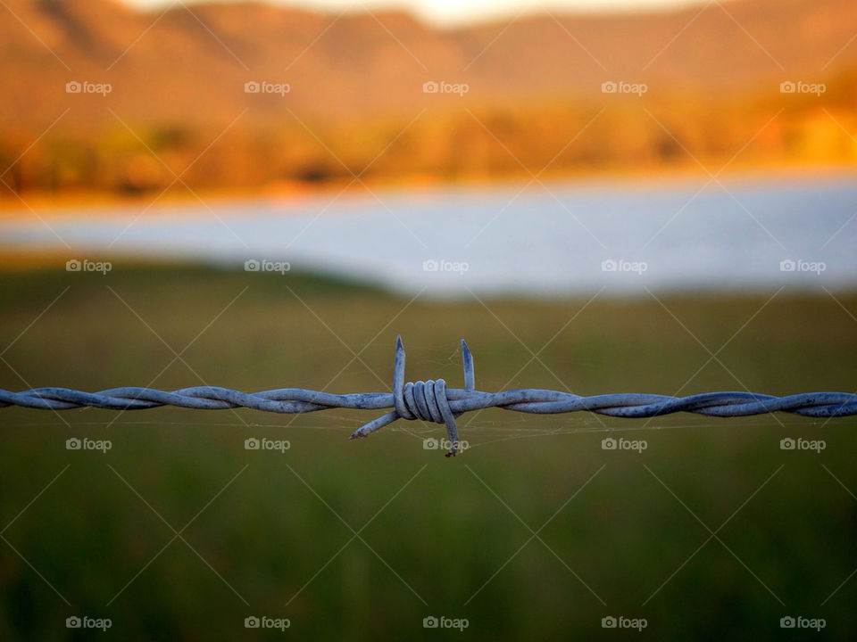 macro fence metal wire by pixelate