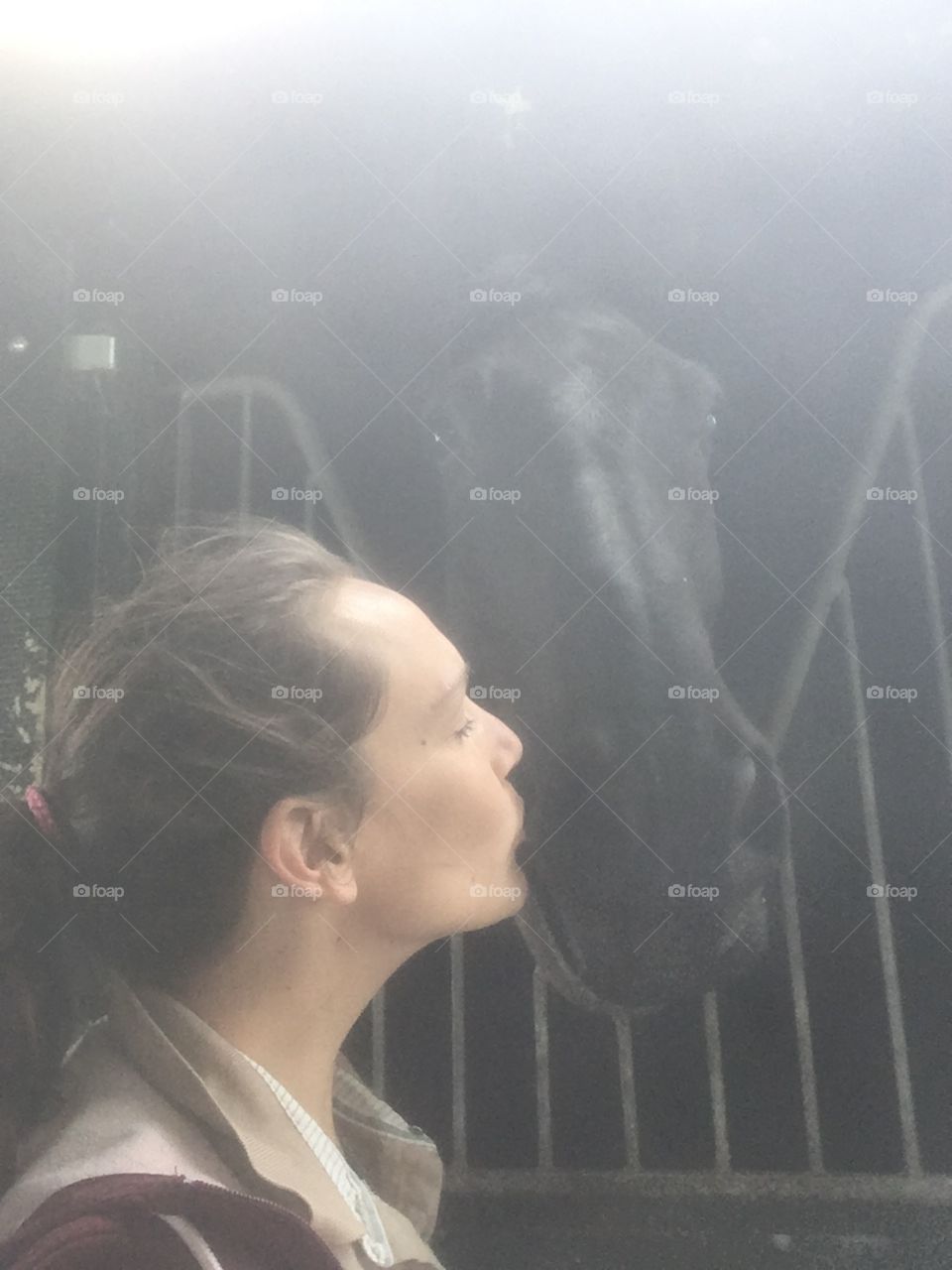 Kiss a big black horse Atal 