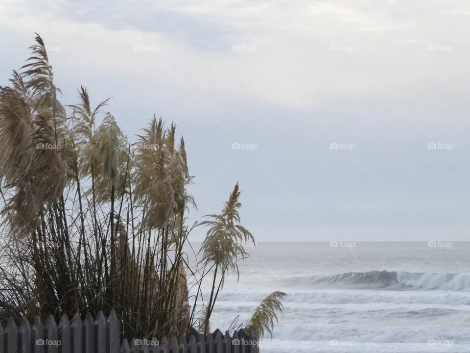Ocean 