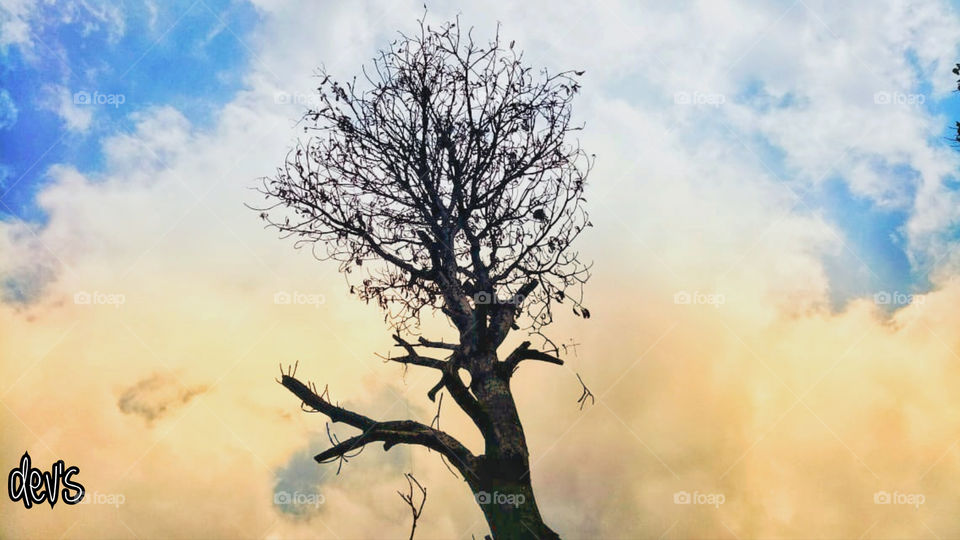 If you reveal your secret to the wind you should not blame the wind for revealing them to the trees

-- Khalil Gibran