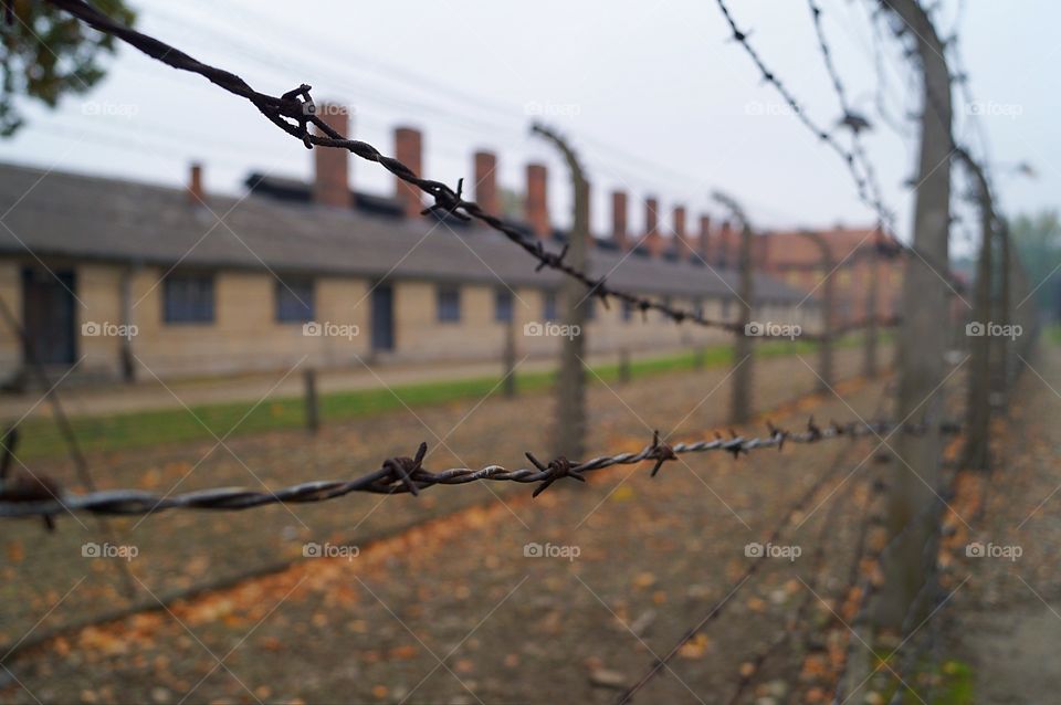 Auschwitz