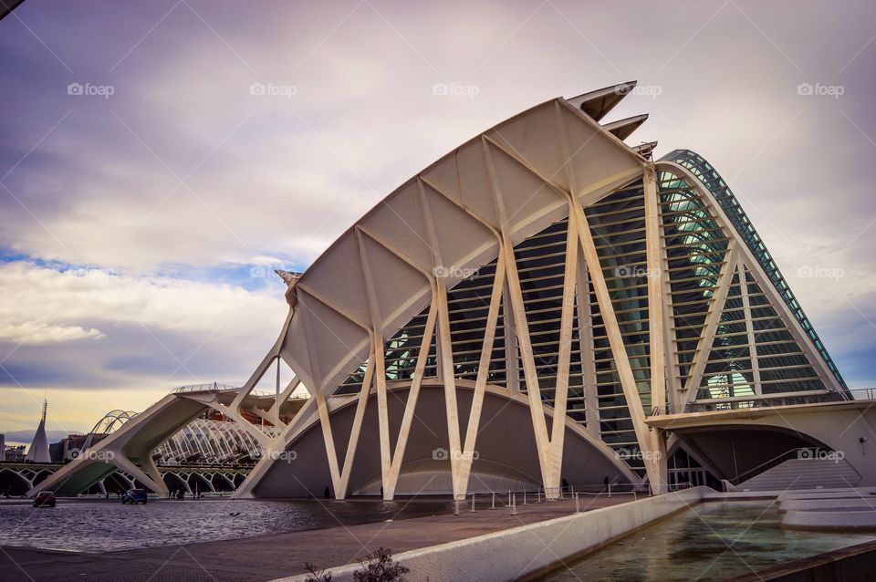 Museo de las Ciencias Principe Felipe, Ciudad de las Artes y las Ciencias (Valencia - Spain)