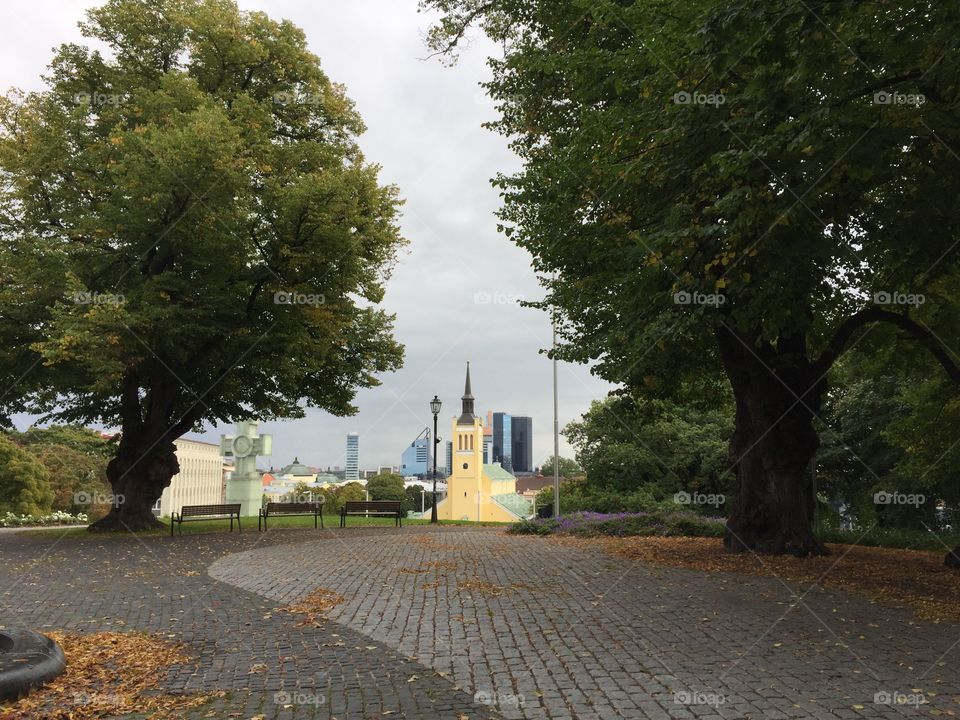 View of city Tallinn 