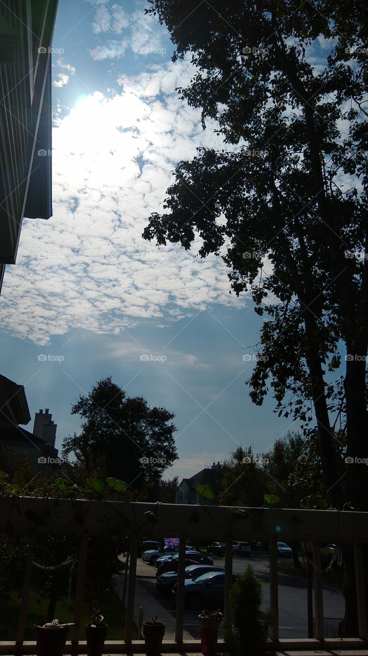 From my balcony everything is beautiful