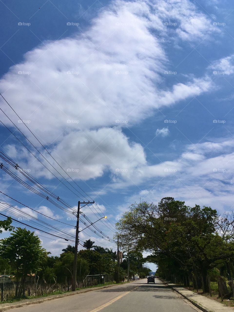 A beautiful blue sky!  Phew, good that he came back and the gray left.  Cheer the nature. / Um céu azul bonito! Ufa, que bom que ele voltou e o cinza foi embora. Viva a natureza.